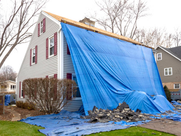 Best Brick Veneer Siding  in Dodge Center, MN